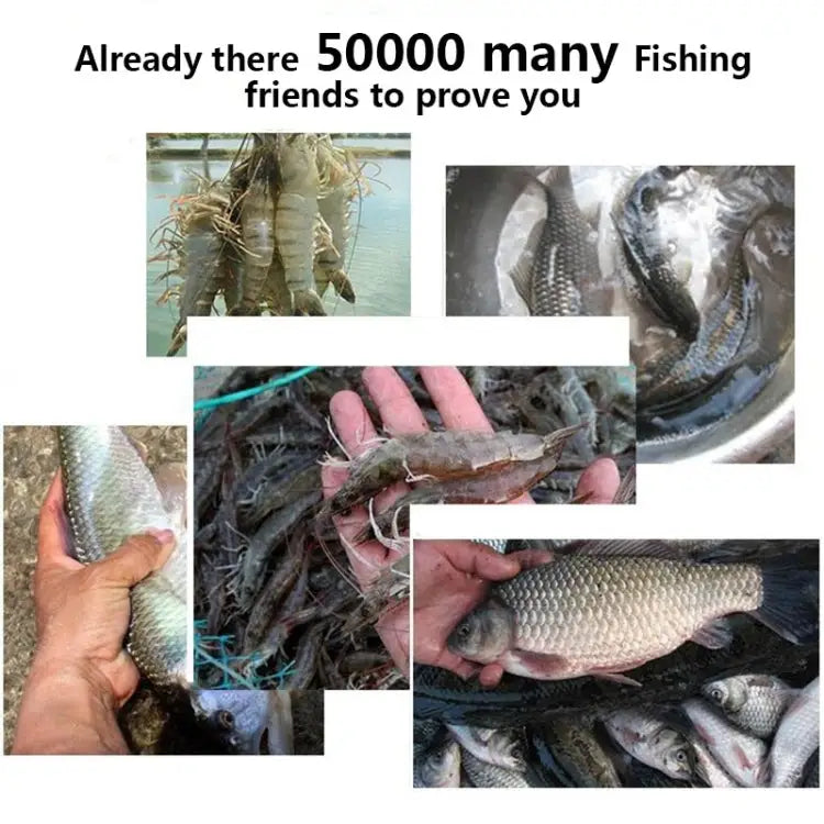 10 Holes Automatic Foldable Fishing Net Nylon Shrimp Crab Minnow Trap Fish Cast Net Fishing Tackle, 10 Holes